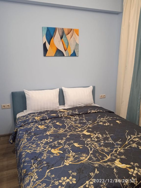 Двухместный с 1 кроватью двухместный с 1 кроватью Гео №16