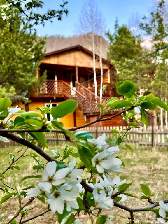 Двухместный номер с 1 кроватью стандарт с видом на горы