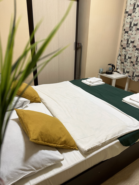 Двухместный номер с 1 кроватью эконом