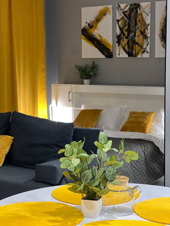 Семейный студия с кухней и стирально-сушильной машиной №1