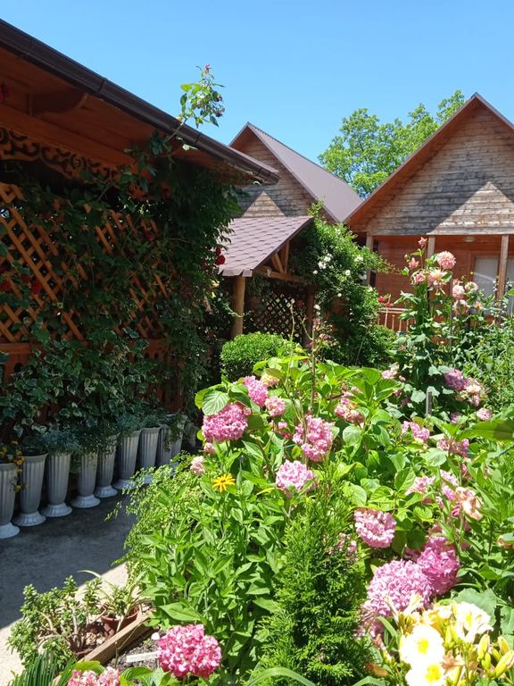 Дом деревянный коттедж  № 2