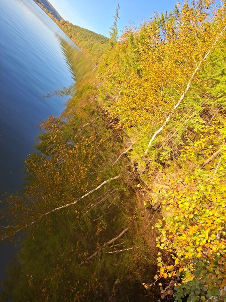 Золотая осень