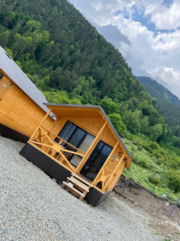 Дом стандарт