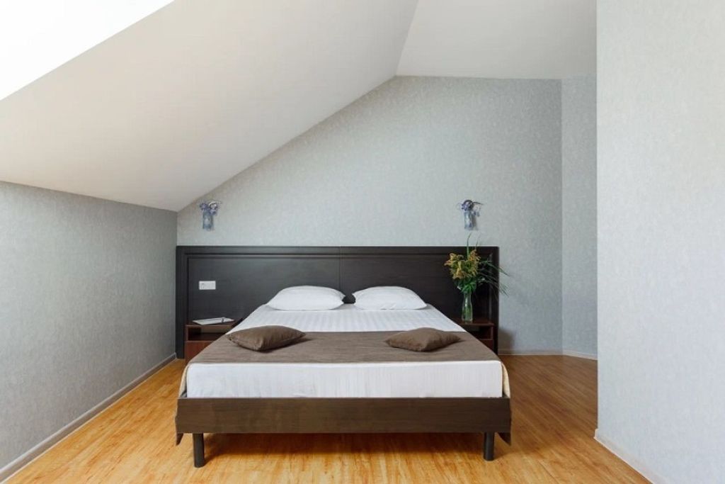 Двухместный номер с 1 кроватью Стандарт  + 1 дополнительное место (Мансарда)