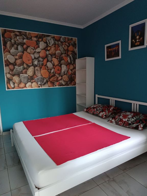 Двухместный номер с 1 кроватью №2 камушки 1 этаж