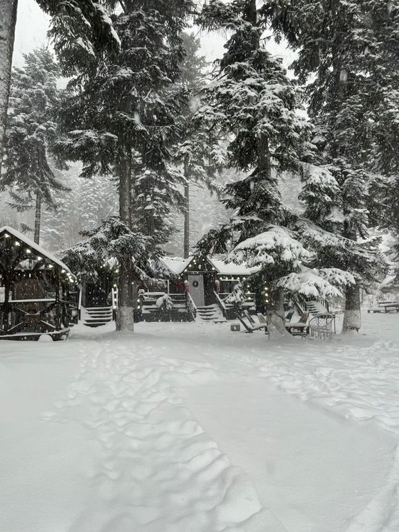 Дом стандарт