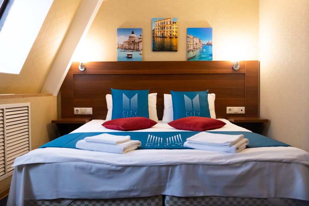 Двухместный с 1 кроватью в центре города