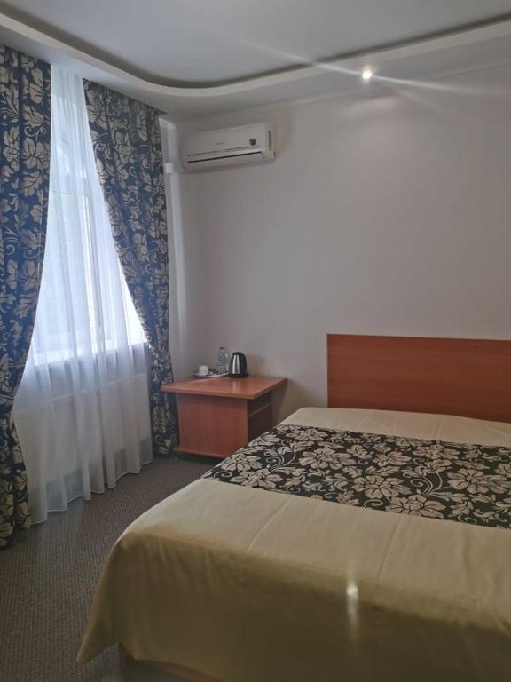 Двухместный номер с 1 кроватью Полулюкс 3