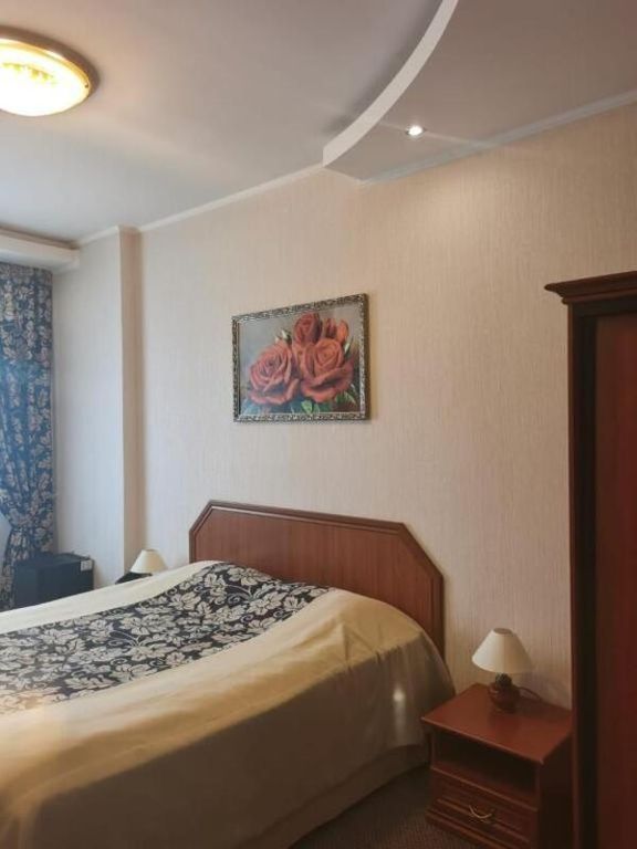 Двухместный номер с 1 кроватью Полулюкс 4