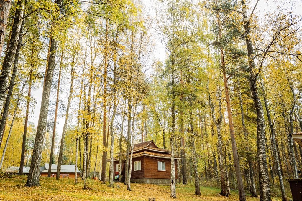 Дом коттедж №1