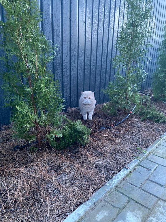 Двухместный номер с 1 кроватью стандарт