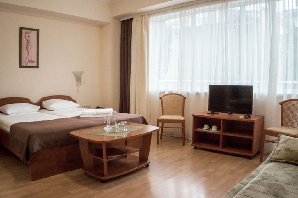 Двухместный номер с 1 кроватью северный полулюкс