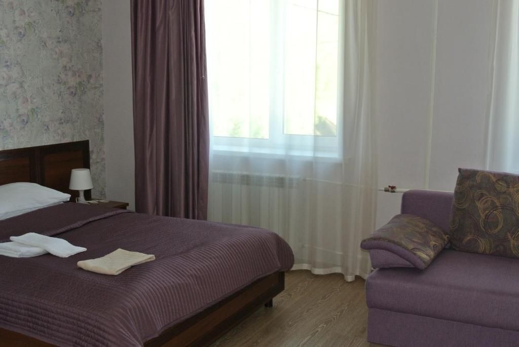 Двухместный номер с 1 кроватью стандартный с дополнительным местом