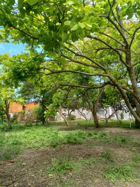 Трёхместный номер стандарт