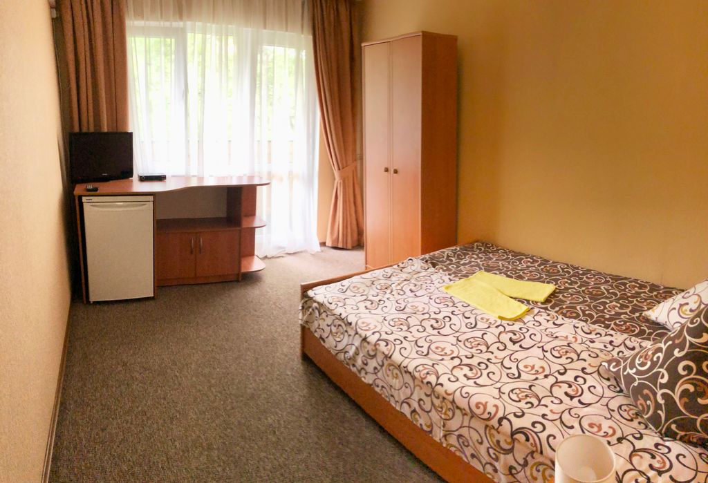 Двухместный номер с 1 кроватью стандарт с видом на горы