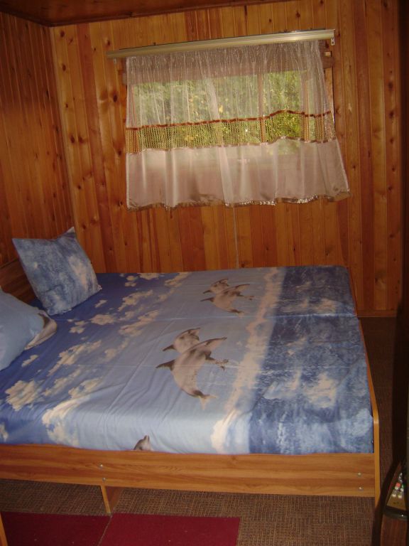 Двухместный номер с 1 кроватью эконом