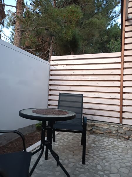 Сосны над вами