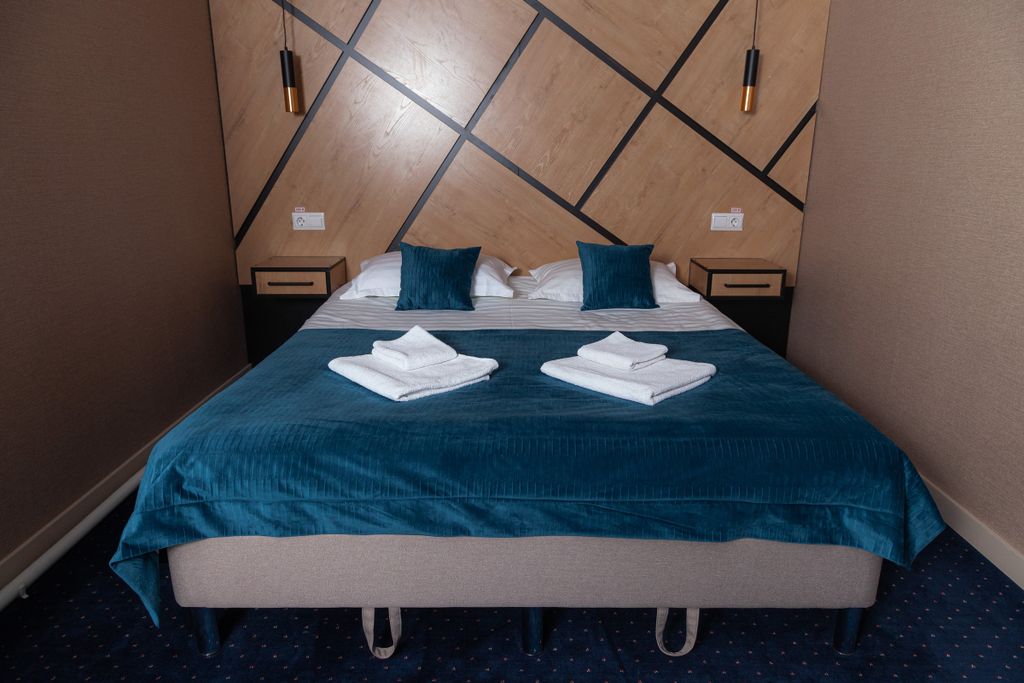 Двухместный номер с 1 кроватью стандарт (реновированый)