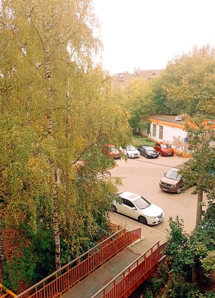 Вид из окна