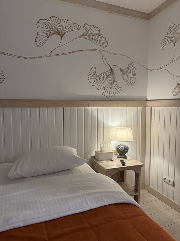 Двухместный номер с 1 кроватью студия К малая