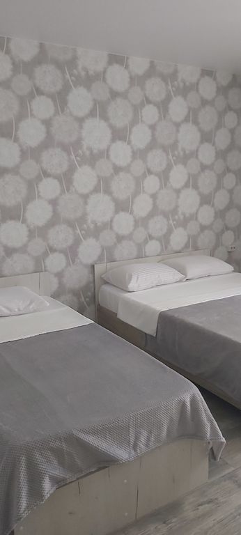 Семейный номер стандарт