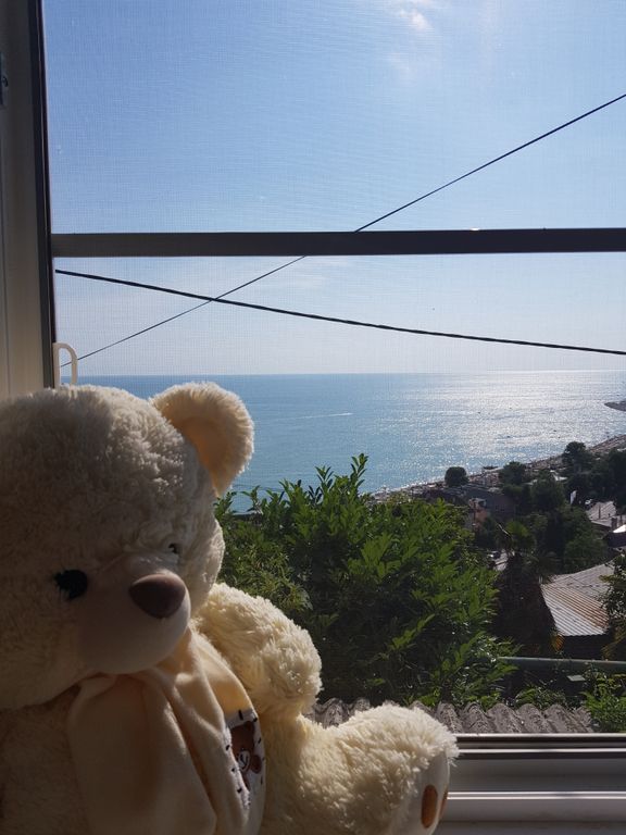 Семейный номер люкс с видом на море