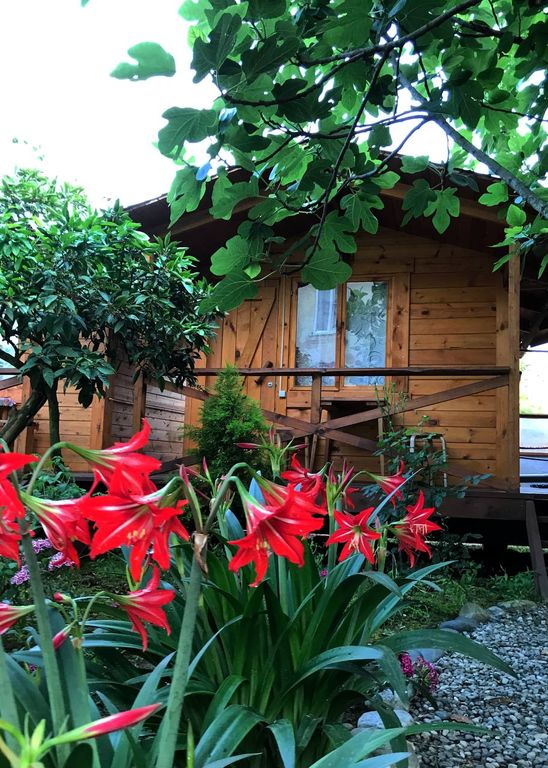 Двухместный номер с 2 отдельными кроватями мини теремок