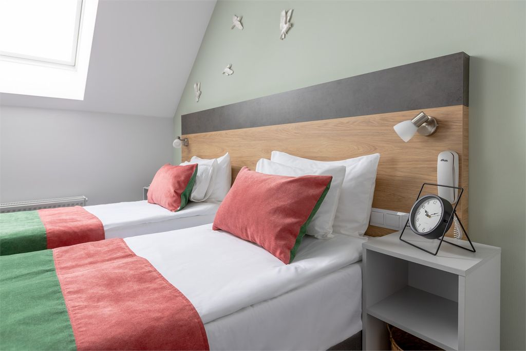 Двухместный номер с 1 кроватью или 2 раздельными с мансардным окном