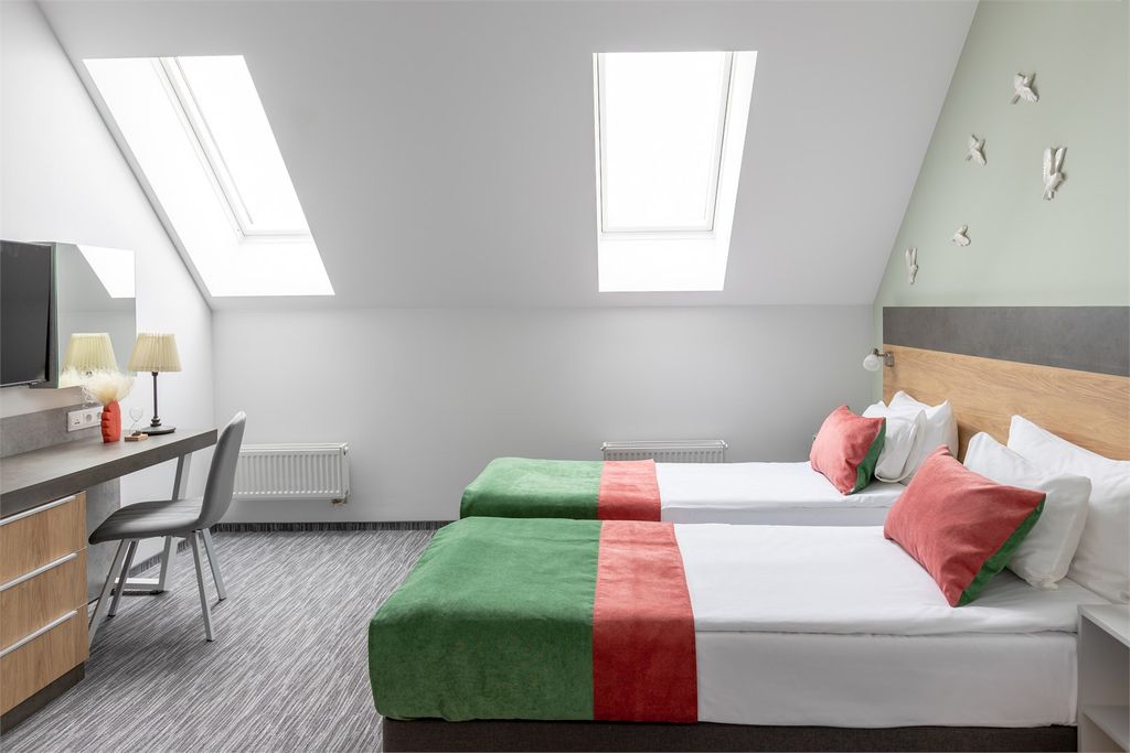 Двухместный номер с 1 кроватью или 2 раздельными Эклектик с мансардными окнами