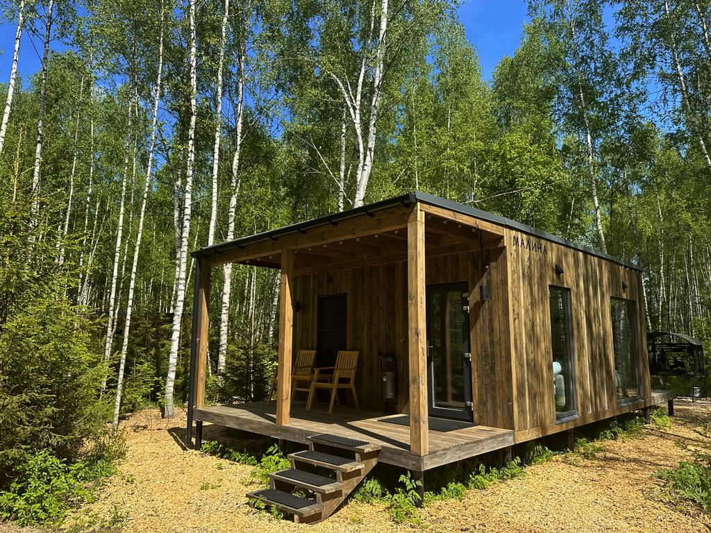 Отдельный дом малина