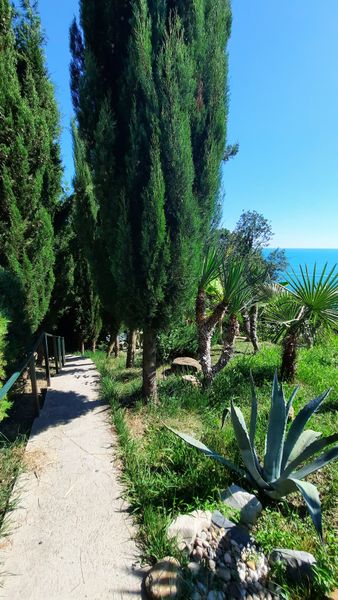 Спуск к морю , пляж 72й км.