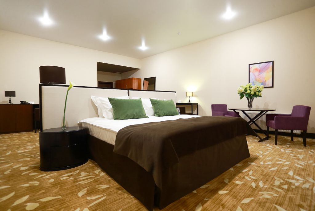 Двухместный номер с 1 кроватью президентский люкс с террасой и кроватью размера king`s size