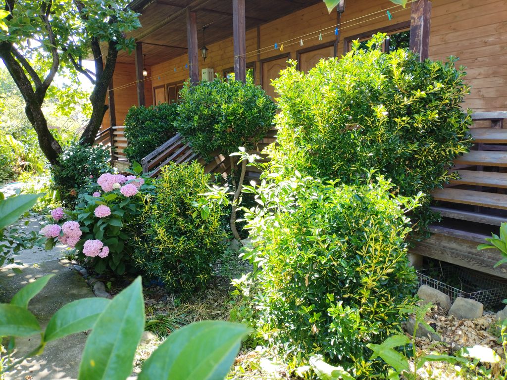 Трёхместный номер эконом