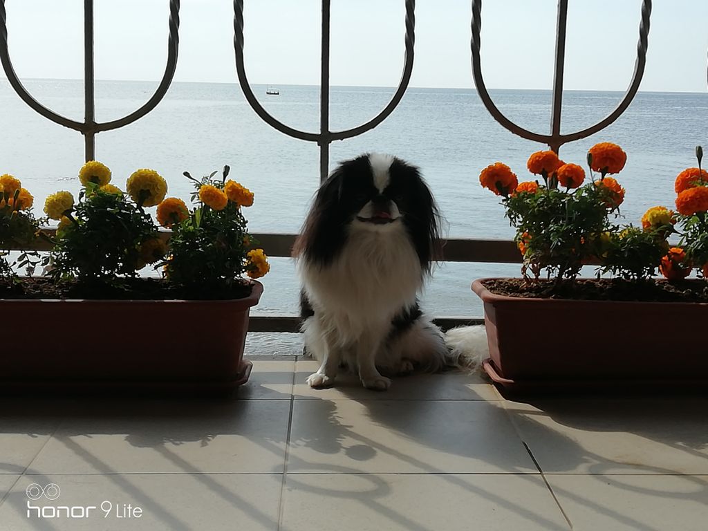 Трёхместный номер стандарт с видом на горы