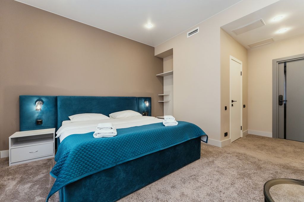 Двухместный номер с 1 кроватью люкс