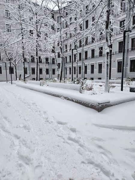 Зимний наш внутренний  дворик