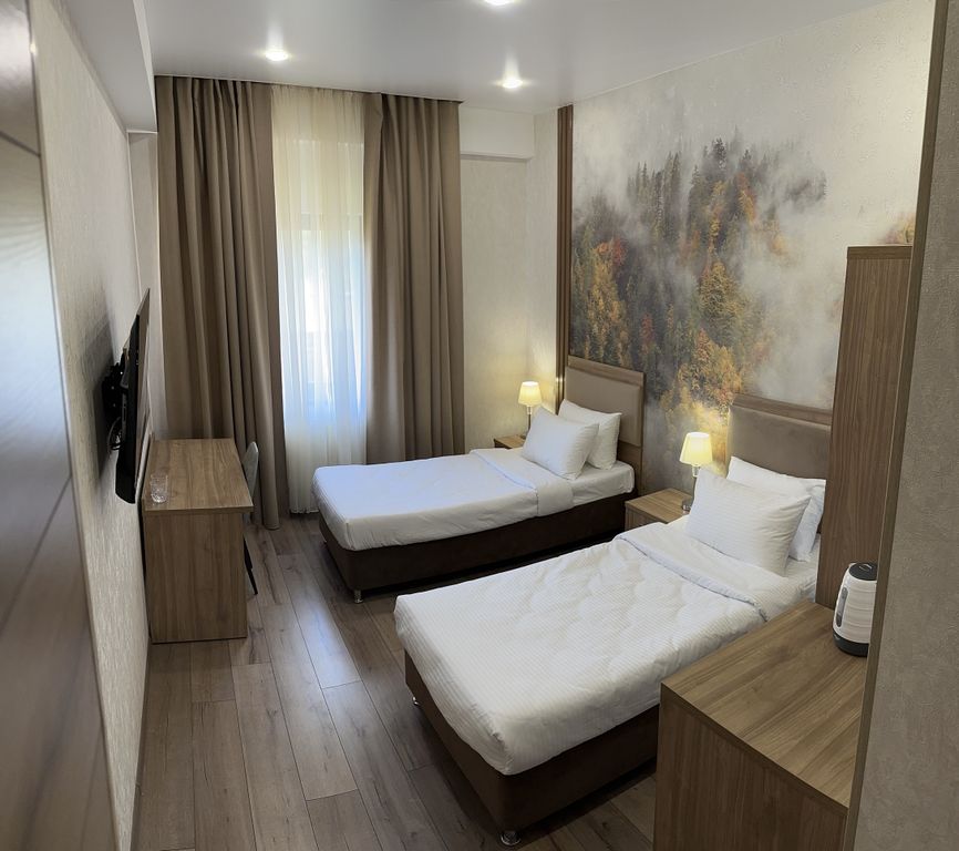 Двухместный номер с 2 отдельными кроватями стандартный