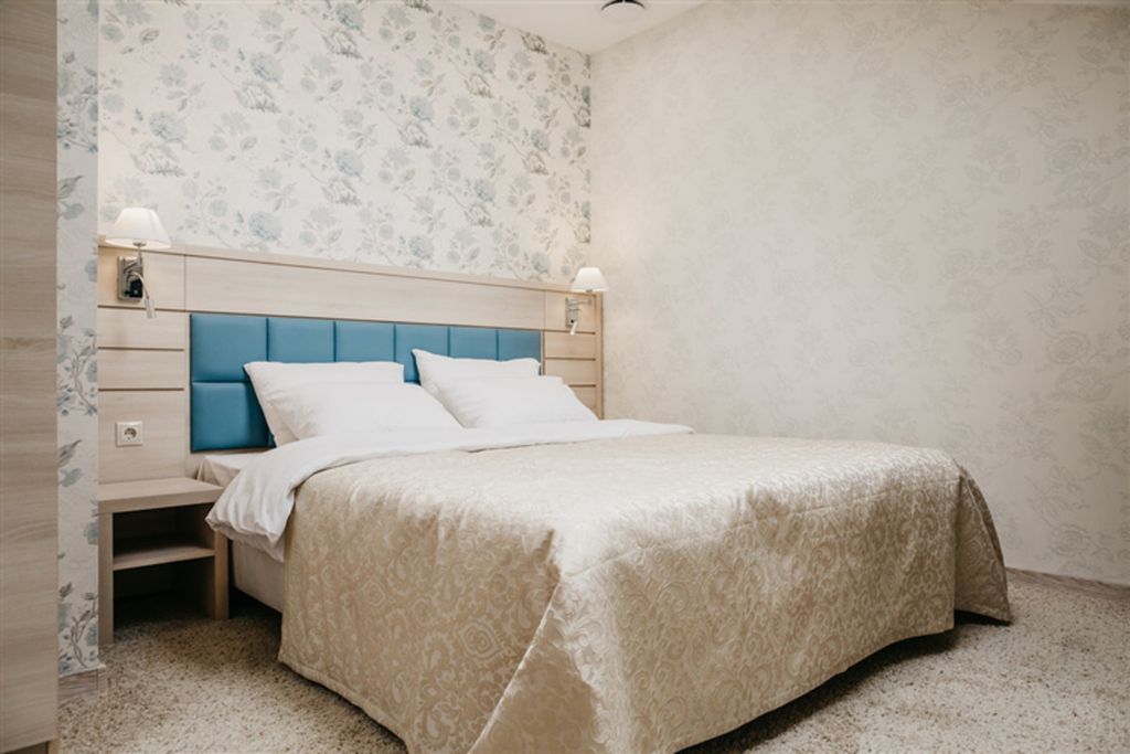 Двухместный номер с 1 кроватью deluxe