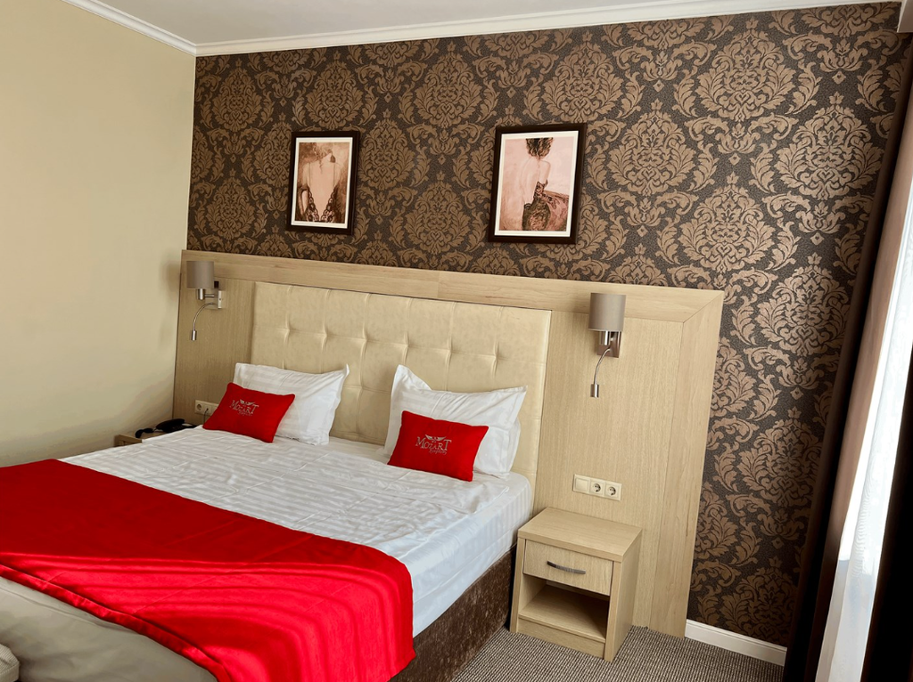 Двухместный номер с 1 кроватью Стандарт-Премиум