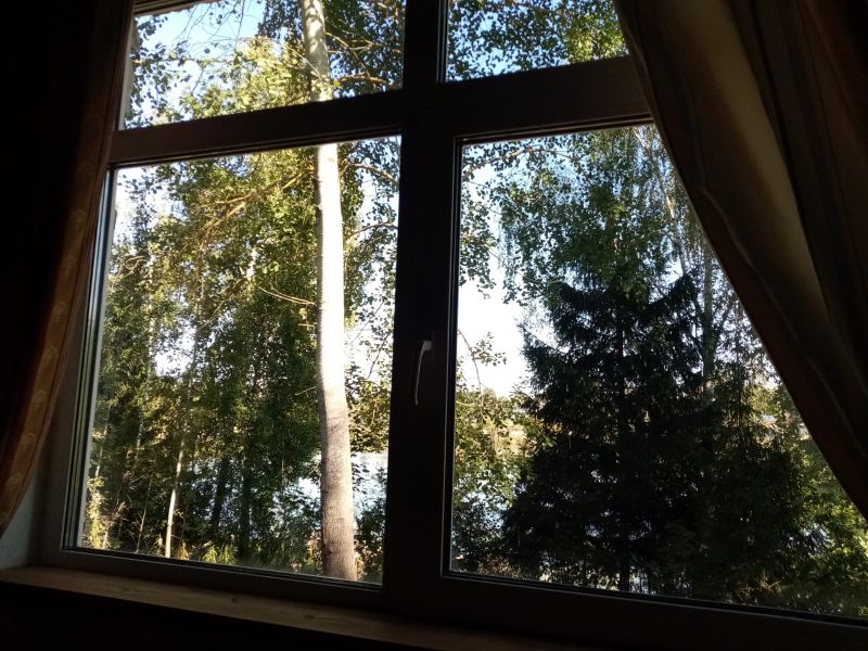 Вид на лес и озеро