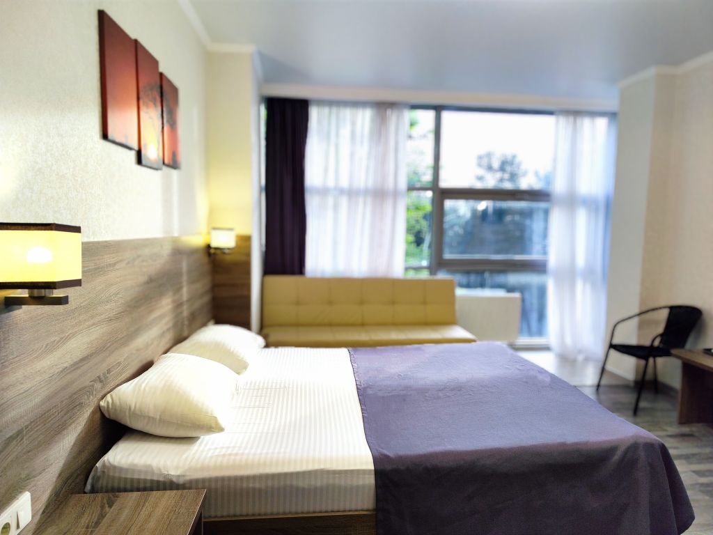 Двухместный номер с 1 кроватью люкс с видом на город