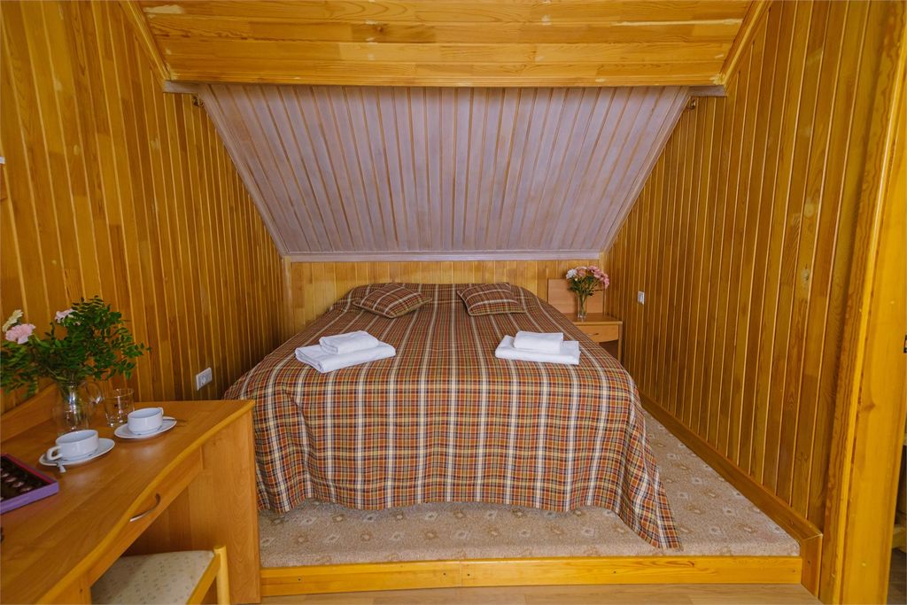 Двухместный номер с 1 кроватью Мансарда кровать-трансорфмер