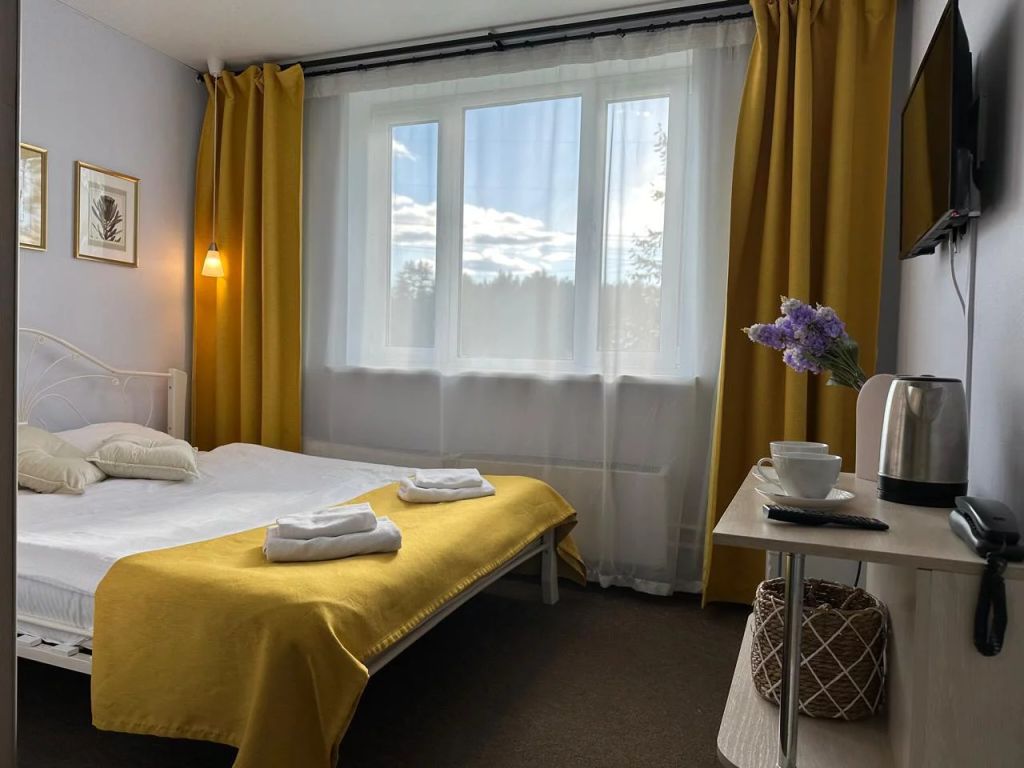 Двухместный номер с 1 кроватью стандарт +