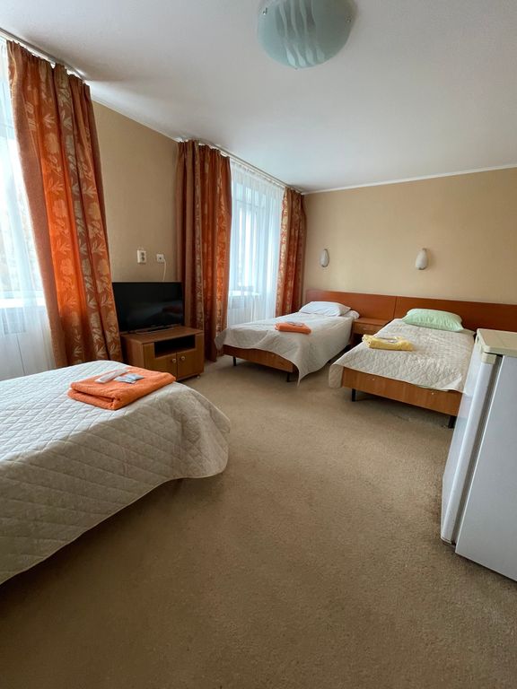 Трёхместный номер Эконом (сан узел на два номера)