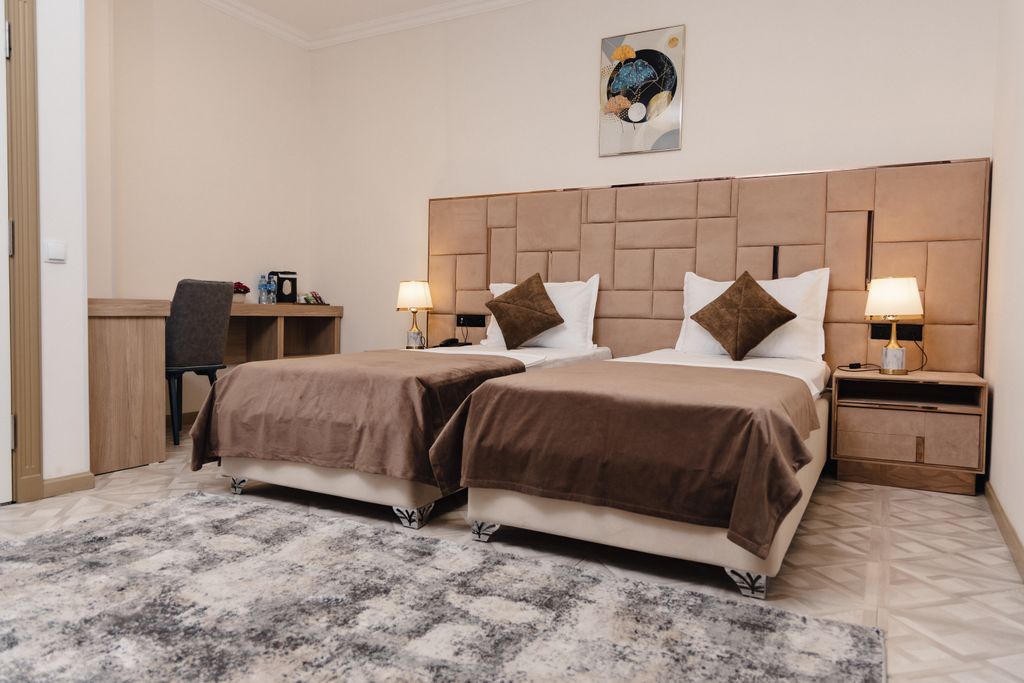 Двухместный номер с 2 отдельными кроватями стандарт с видом на город