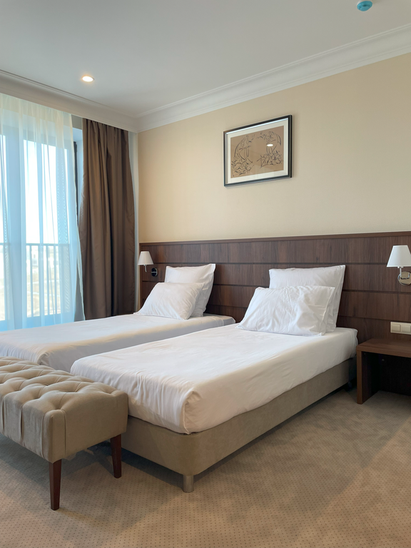 Двухместный номер с 2 отдельными кроватями twin