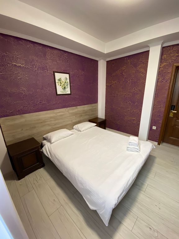 Двухместный номер с 1 кроватью 401