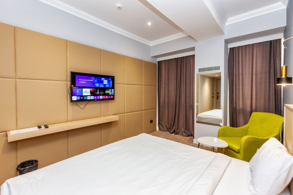 Двухместный номер с 1 кроватью стандарт с видом на город