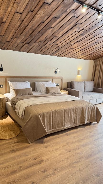 Двухместный номер с 1 кроватью Premium