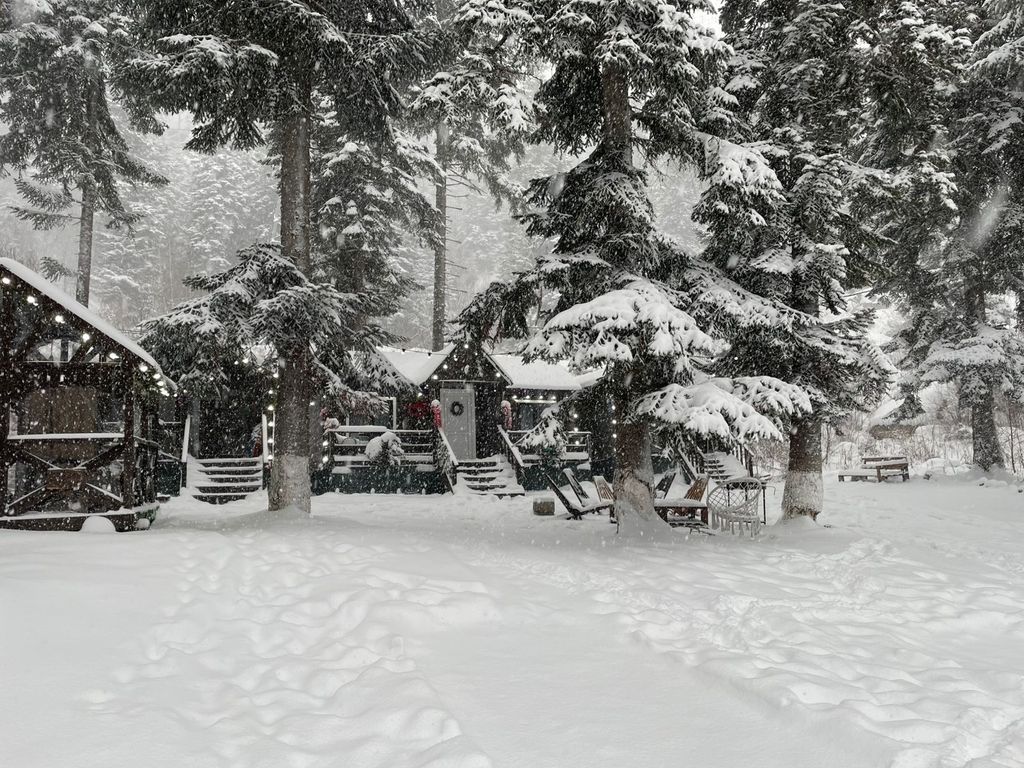 Семейный номер стандарт